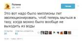 эволюция таз .jpg