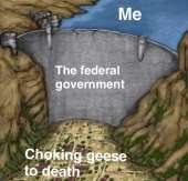 a1a6b66.jpg