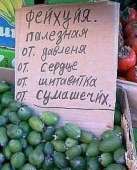 Фейхуйя.jpg