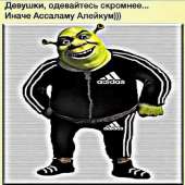 15268409037200.jpg