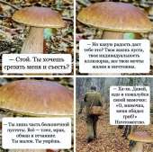 15073546493470.jpg
