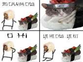  .jpg
