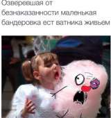 15009853320400.jpg