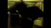 15259440505260.mp4