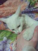 IMG20160803033433.jpg