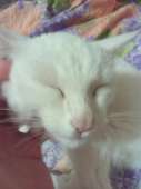 IMG20160803033555.jpg
