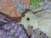 IMG20160803033322.jpg