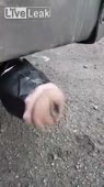 15133228350870.mp4