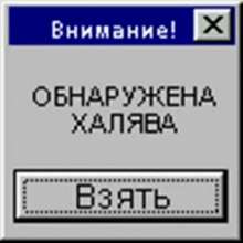 photo.jpg