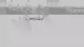 стараются шакклы.webm