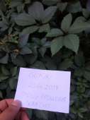SAVE20180620180640.jpeg
