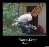 u5gv6c3xqqag.png