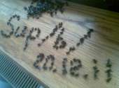 1492532285-5921c0d8be1fad045d6bb488d1644bd0.jpeg
