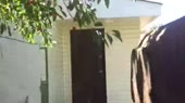  .webm