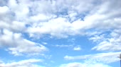 запахдеда.webm