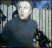 1286390722599.gif