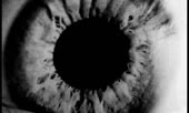 15297622364410.webm