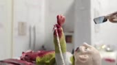  .mp4