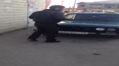 14528867476521.webm
