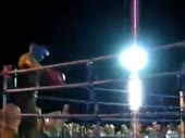 Бокс, мужчина против женщины.mp4