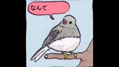 1530826842230.webm