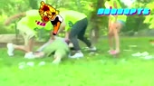  .webm