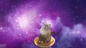  .webm