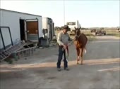 15170425491330.webm