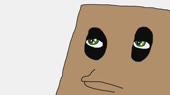 15298612430000.webm
