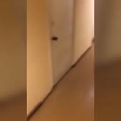 Сатисфакшин.mp4