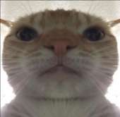760E3B8D-FC0D-42C3-83A7-798711C44B4E.jpeg