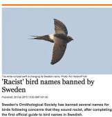 Swedenfb49ac5544160.jpg