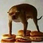 15298369142830.jpg