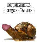 6ff5671d25456363f95288ad0427602d.gif