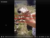 5b871088136e.360.mp4