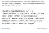 Кадыров — об убийстве котёнка- У девушек-живодёров нет мате[...].png