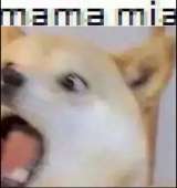 14877461450900.jpg