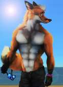 1527278065.epicsoulsummerfoxcopy.jpg
