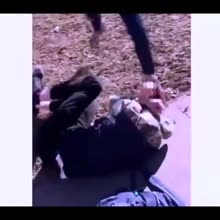 2.mp4