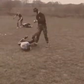 10.mp4