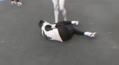 11.mp4