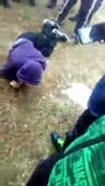 7.webm