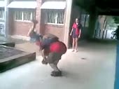 15329755816081.webm