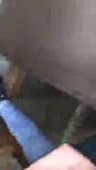 2.webm
