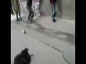 22.mp4