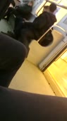 15298434648673.webm