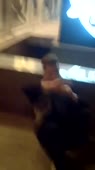 15041004899150.webm