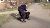 миша пока.webm
