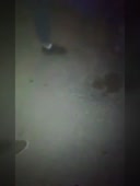 я чеченец а ты вася.mp4