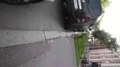  .webm
